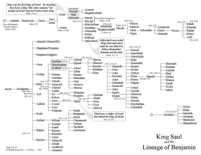 King Saul and the Lineage of Benjamin